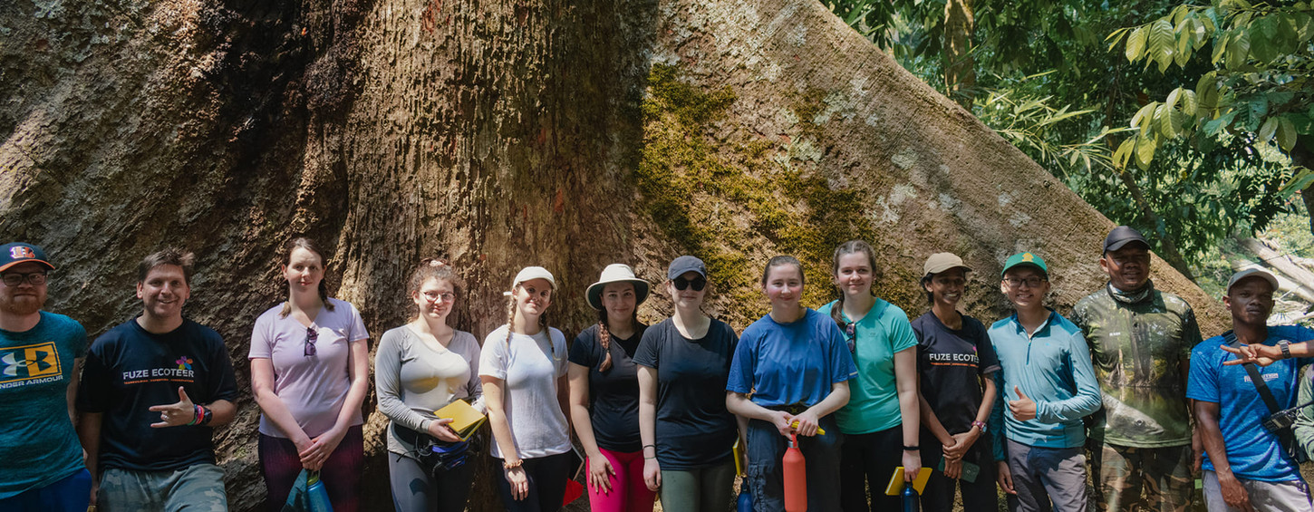 Volunteer abroad, Volunteer with turtles, Turtle projects overseas, Malaysia turtle volunteer programs 