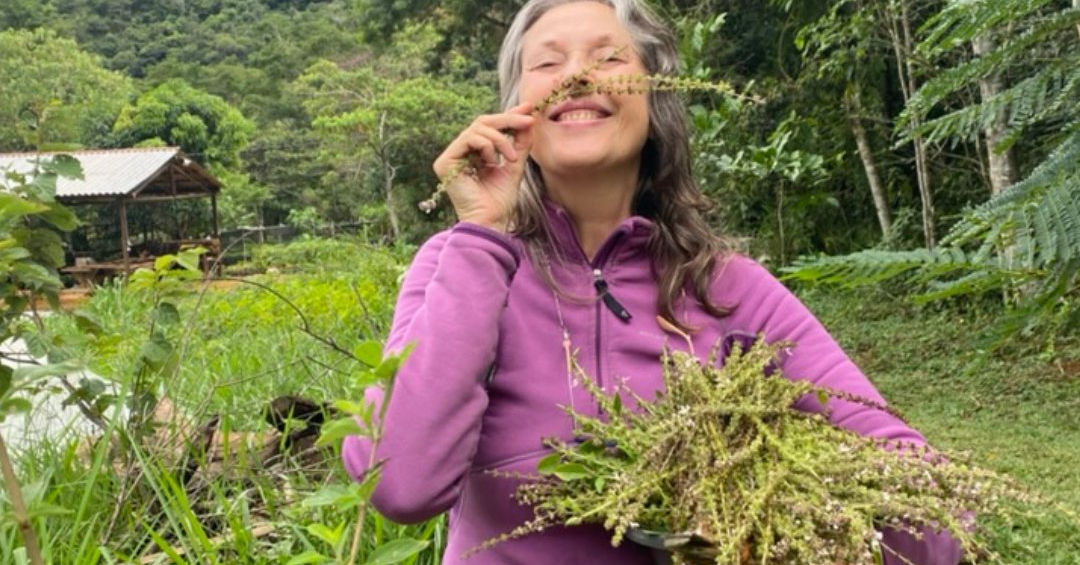 Volunteer Abroad in Brazil, nature conservation projects in Brazil. Forest restoration volunteering