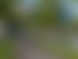 How the DS2 Project Supports Cluj-Napoca's Climate Mission