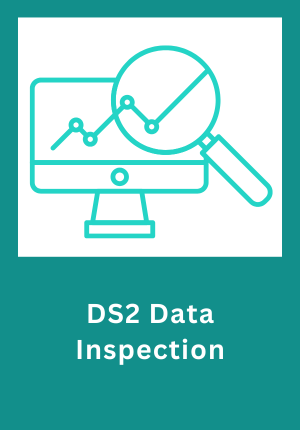 16. Data Inspection.png