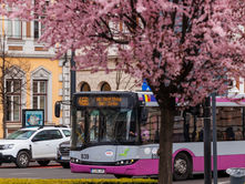 Building a Digital Ecosystem for Data-Driven Governance in Cluj-Napoca
