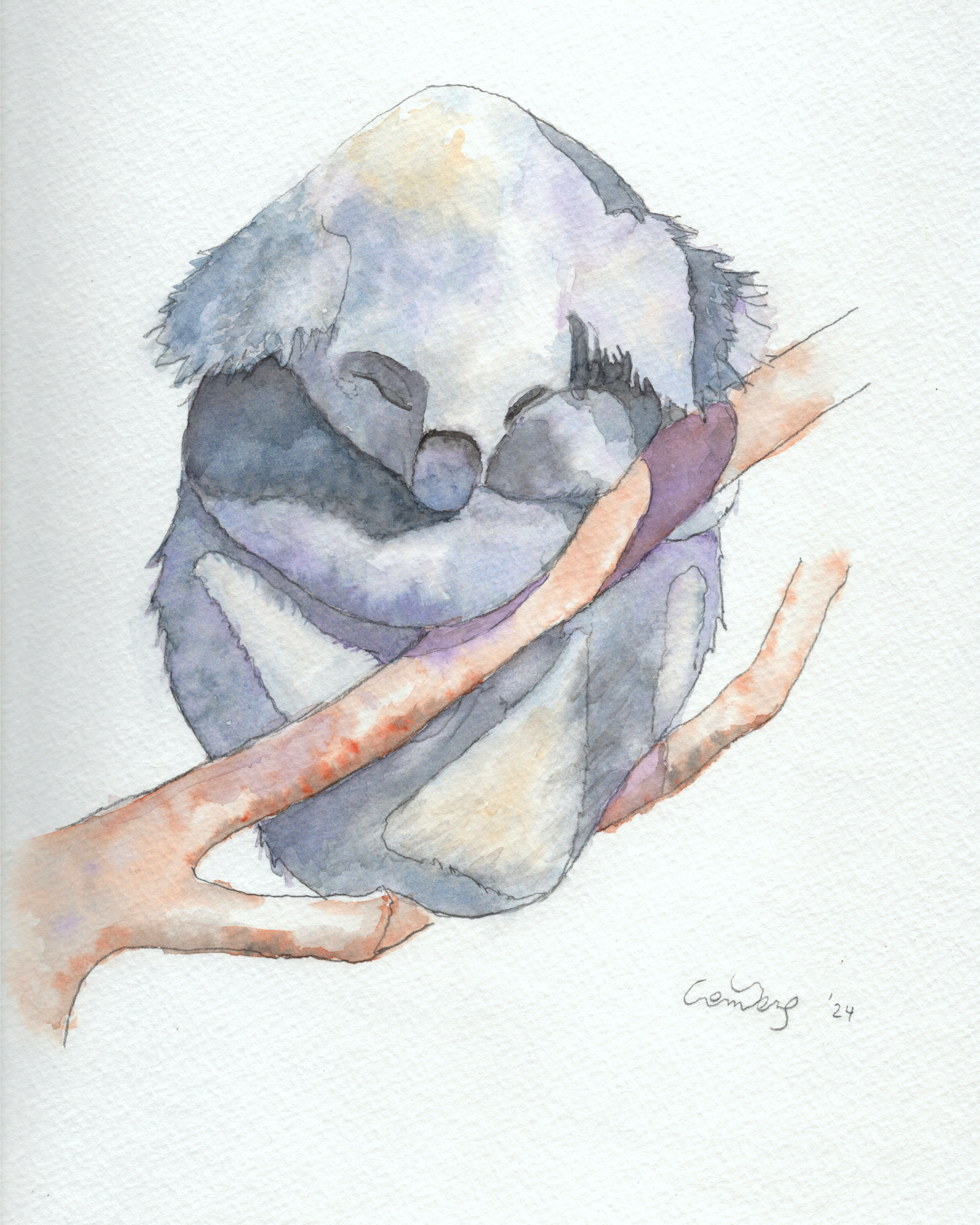 Koala -  Watercolor - Original Work