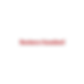 Business Standard logo.png