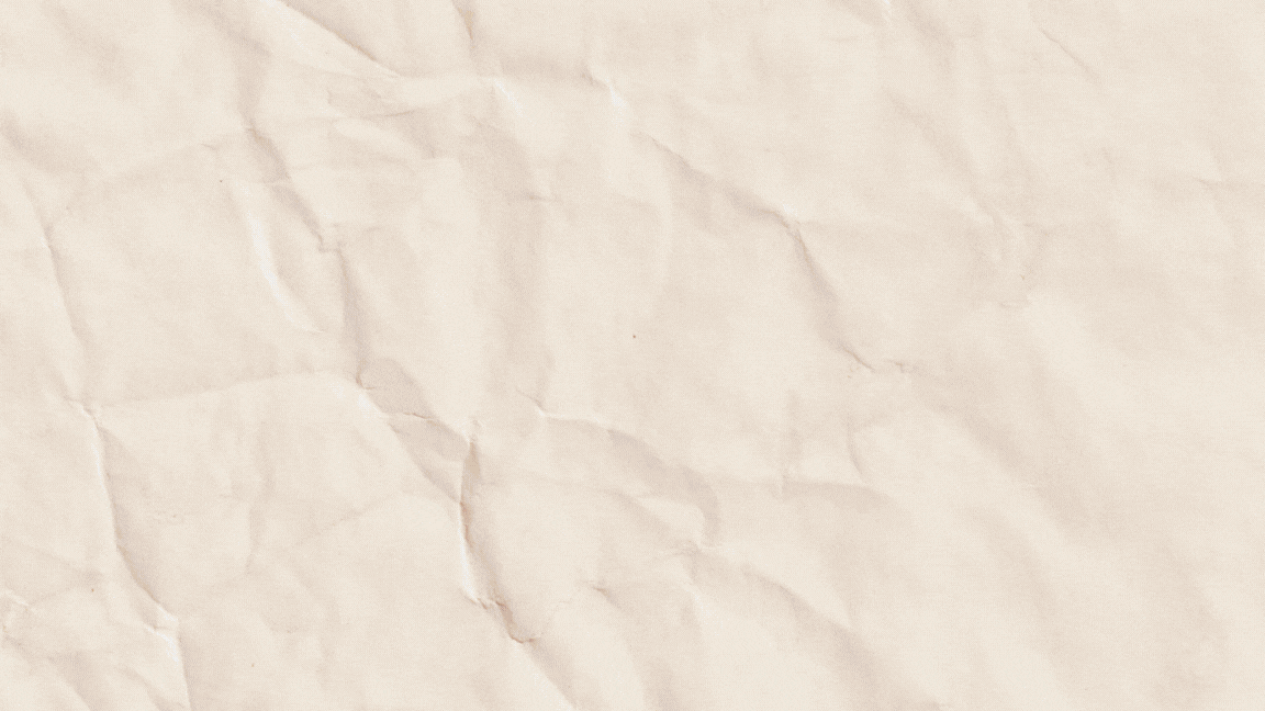 A moda de brechó (1).gif