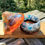 Thumbnail: Mushroom Herb Jar