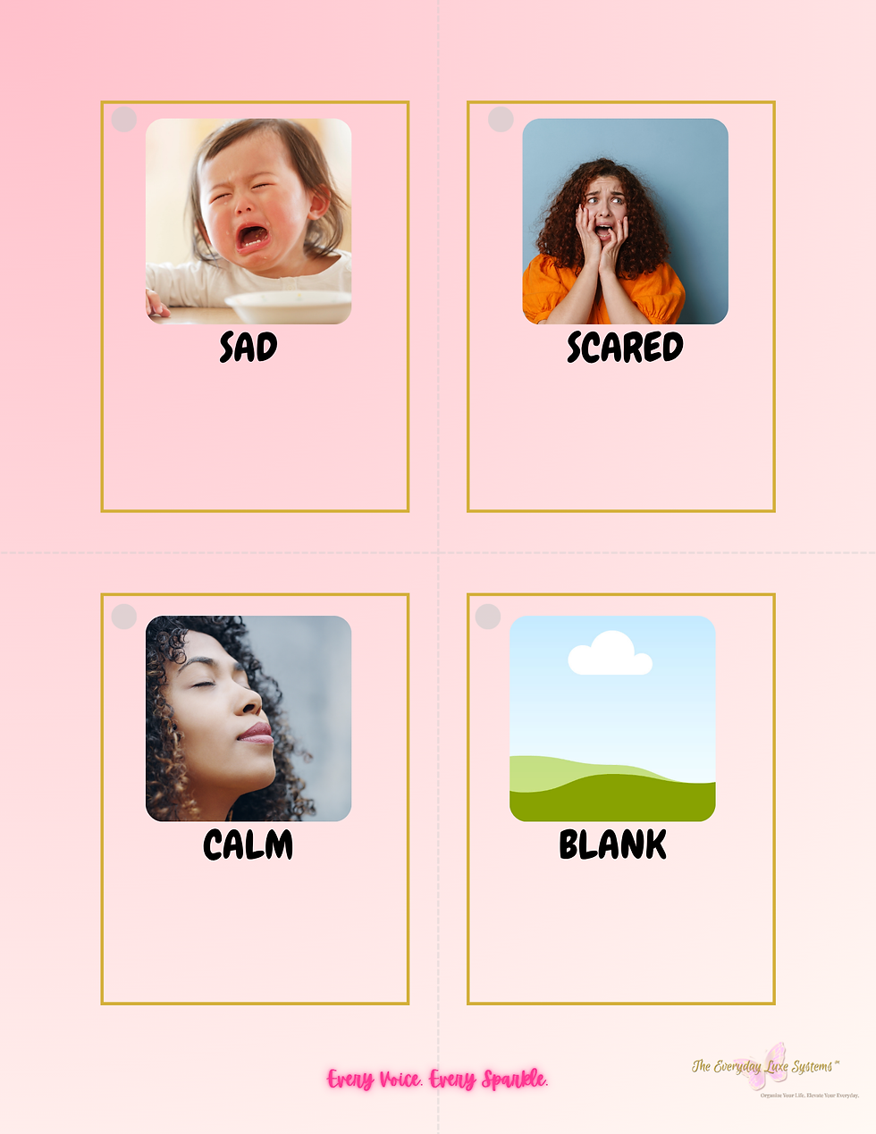 Thumbnail: Behavior + Support Tracker System