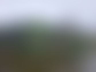 Últimos Refúgios participa da inauguração do Eco Lodge Natureza