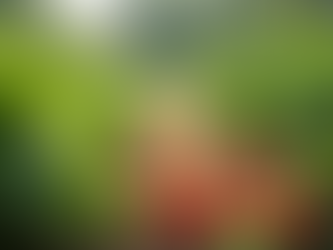 Why Gardening and Fishing Are the Perfect Combo for Mindful Living