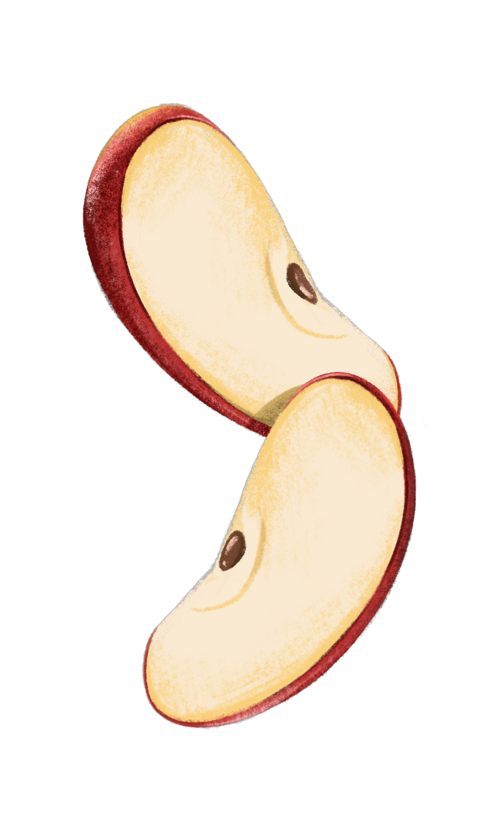 Roger-DavidKincaid-AppleSlices.PNG