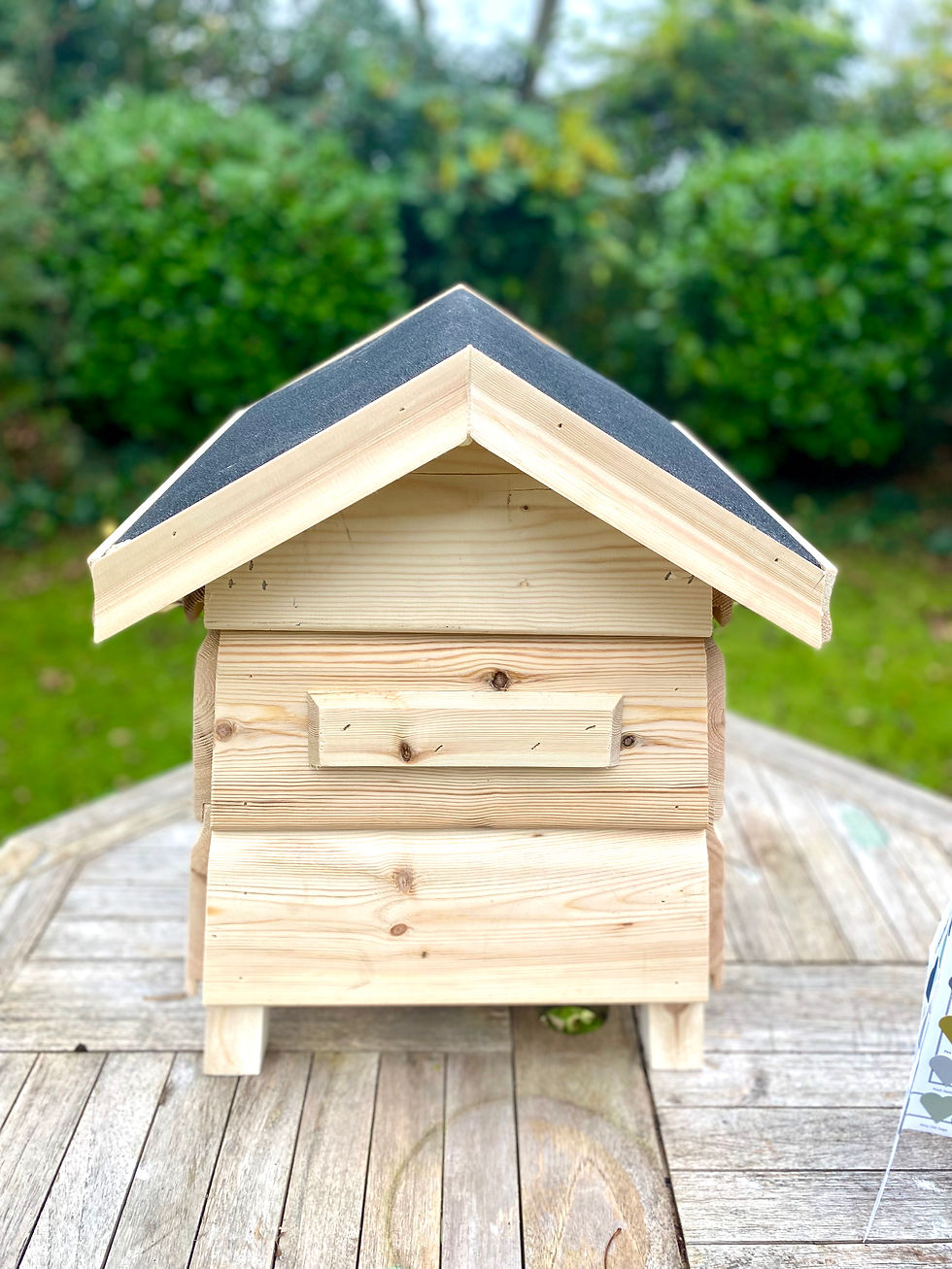 Thumbnail: Garden, Bee Hive Style, Storage, Parcel Box, Tool Tidy, Paint It Yourself Gift,