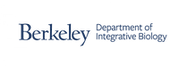 IB_Header_BerkeleyBlue-02.png
