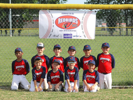 Farmington Little League Sponsorship