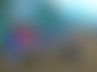 第2回 練習体験会を開催しました