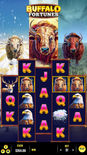 Buffalo Fortunes