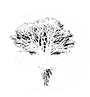 MY DEEN LOGO.png