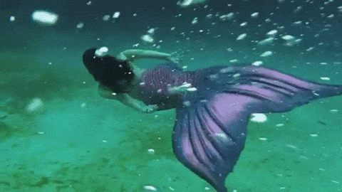 ed559348d84f9d146fec74a58744701f.gif