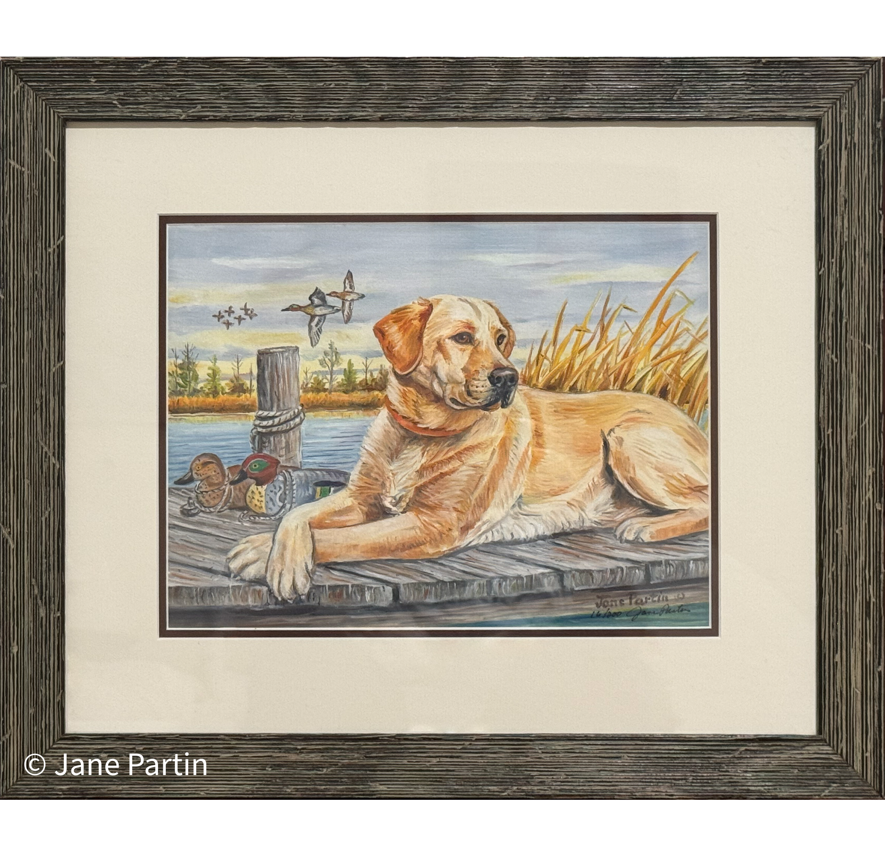 Yellow on the Dock of the Bay