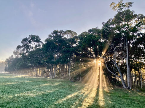 Amavi Farm sunrise.jpg