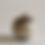 Thumbnail: Cream Ceramic box with pine needle lid