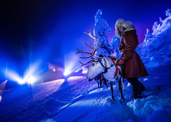 Polar Night Light Festival | SunEffects Master