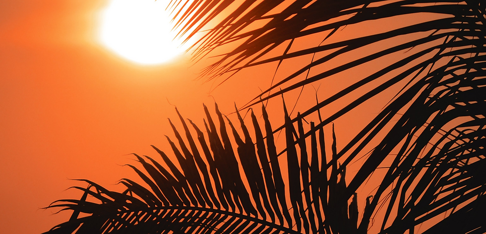 Untitled design (1).png
