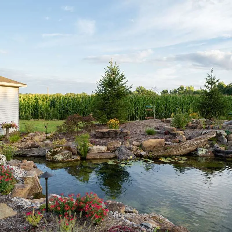 A natural pond built in a residential backyard by Knob Hill Landscaping Company in Springfield, Illinois. 