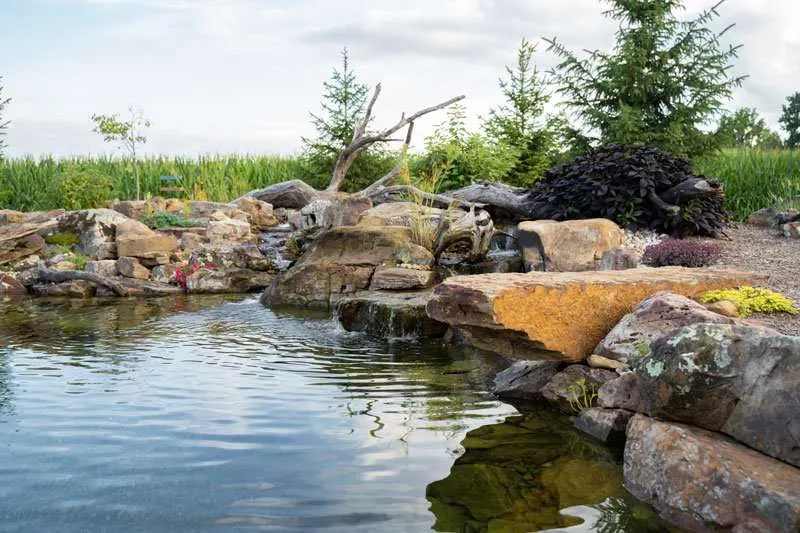 A natural pond built in a residential backyard by Knob Hill Landscaping Company in Springfield, Illinois. 