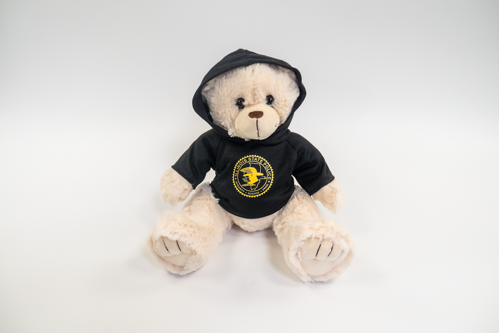 Thumbnail: ISP Branded hoodie on a stuffed teddy bear