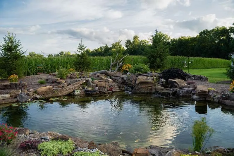 A natural pond built in a residential backyard by Knob Hill Landscaping Company in Springfield, Illinois. 