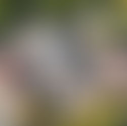 A commercial library under construction for a new roof replacement by I-57 Roofing