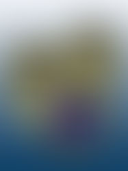 Gold Illinois State Police ring designs with blue gemstone center, featuring text: Service, Integrity, Pride. Eagle and star motifs included.