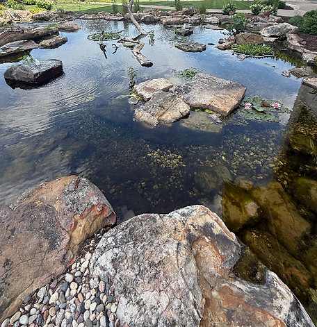 Water feature pond with rocks and lily pads 