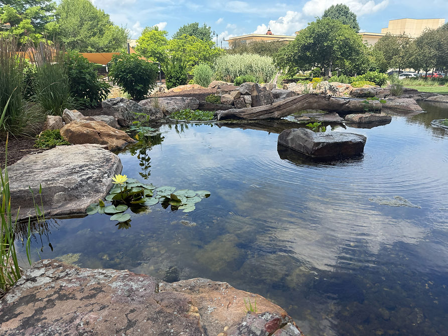 Water feature services natural ecosystem pond designed and installed by Knob Hill Landscape Company of Springfield, IL.