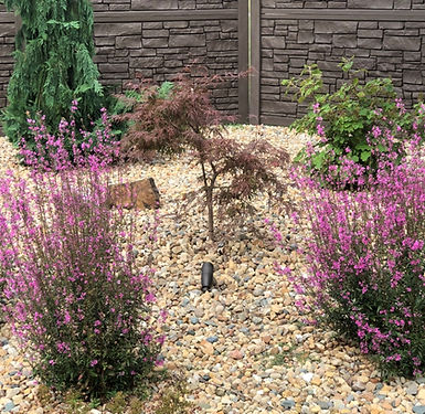 Softscape landscaping by Knob Hill Landscape Company of Springfield, Illinois