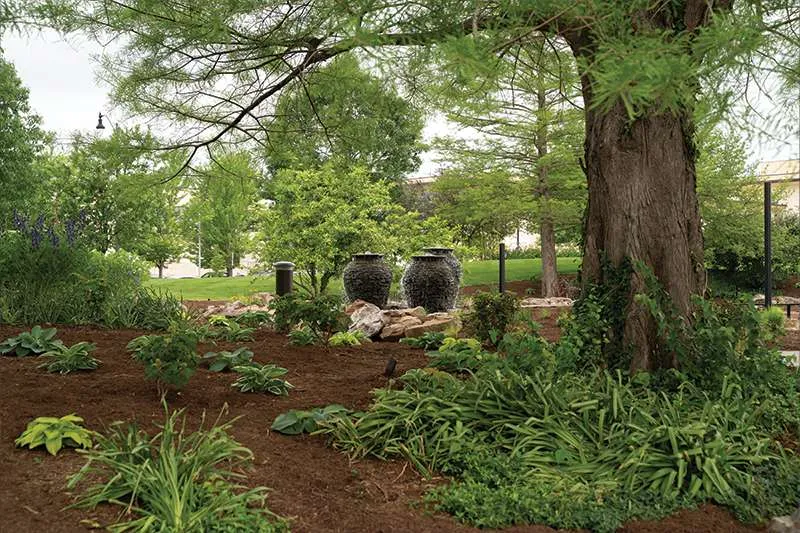An outdoor softscape planted area designed by Knob Hill Landscape Company of Illinois. 