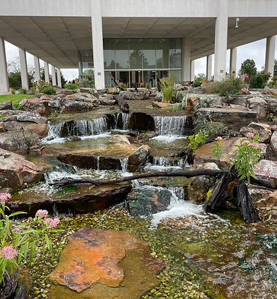 Horace Mann Downtown Educational Ecosystem award winning installation by Knob Hill Landscape Company of Springfield, Illinois