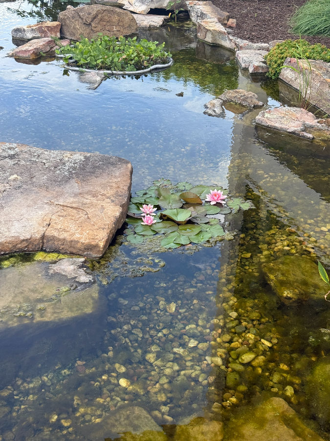 A pond installation by Knob Hill Landscape Company of Springfield, Illinois