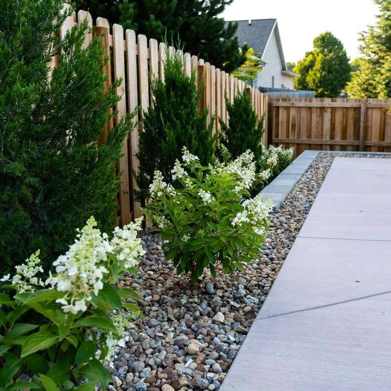 A fence lined with flowering landscaping, small rocks, and a concrete patio. Space designed by Knob Hill Landscape Company in Springfield, Illinois. 