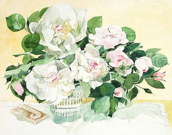 柘植 彩子 作品展 柘植 彩子 作品展