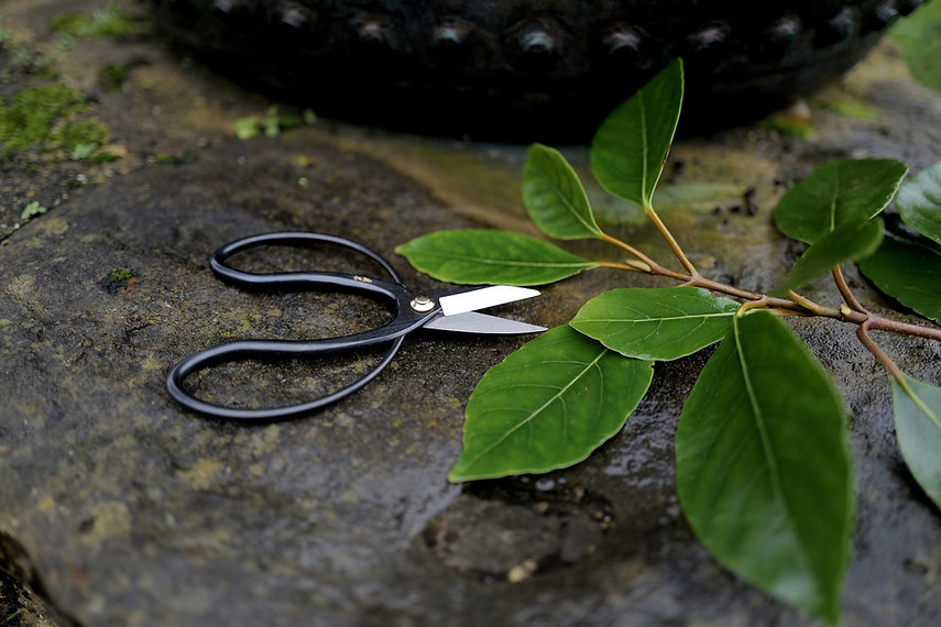 niwaki-higurashi-scissors.jpeg
