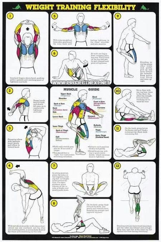 Wight Training Tutorials Beginners guide to weight training