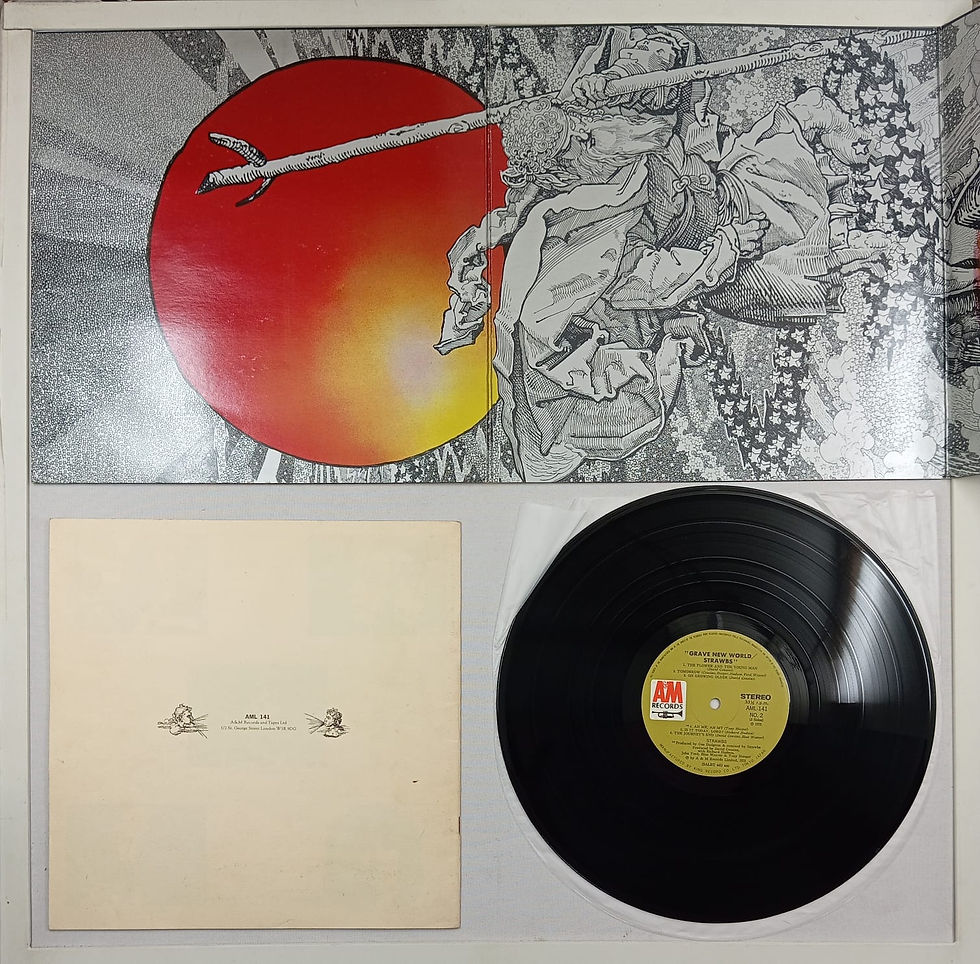 Miniatura: STRAWBS-GRAVE NEW WORLD