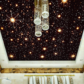 CeilDex Star| Starry sky ceiling