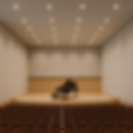 Acoustic ceiling and walls for concert halls| CeilDex Acoustic| Clipso.png