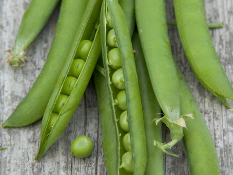 What to plant in April