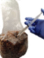 lcspawn1 (1)_edited.jpg