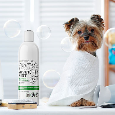 SILVET MINT ANTIMICROBIAL SHAMPOO LBL 16
