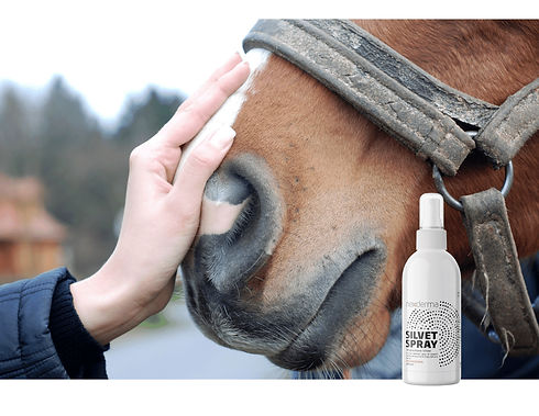 Horse with Spray.jpeg