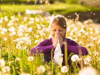 You can cut all the flowers, but you can’t stop the allergies from coming