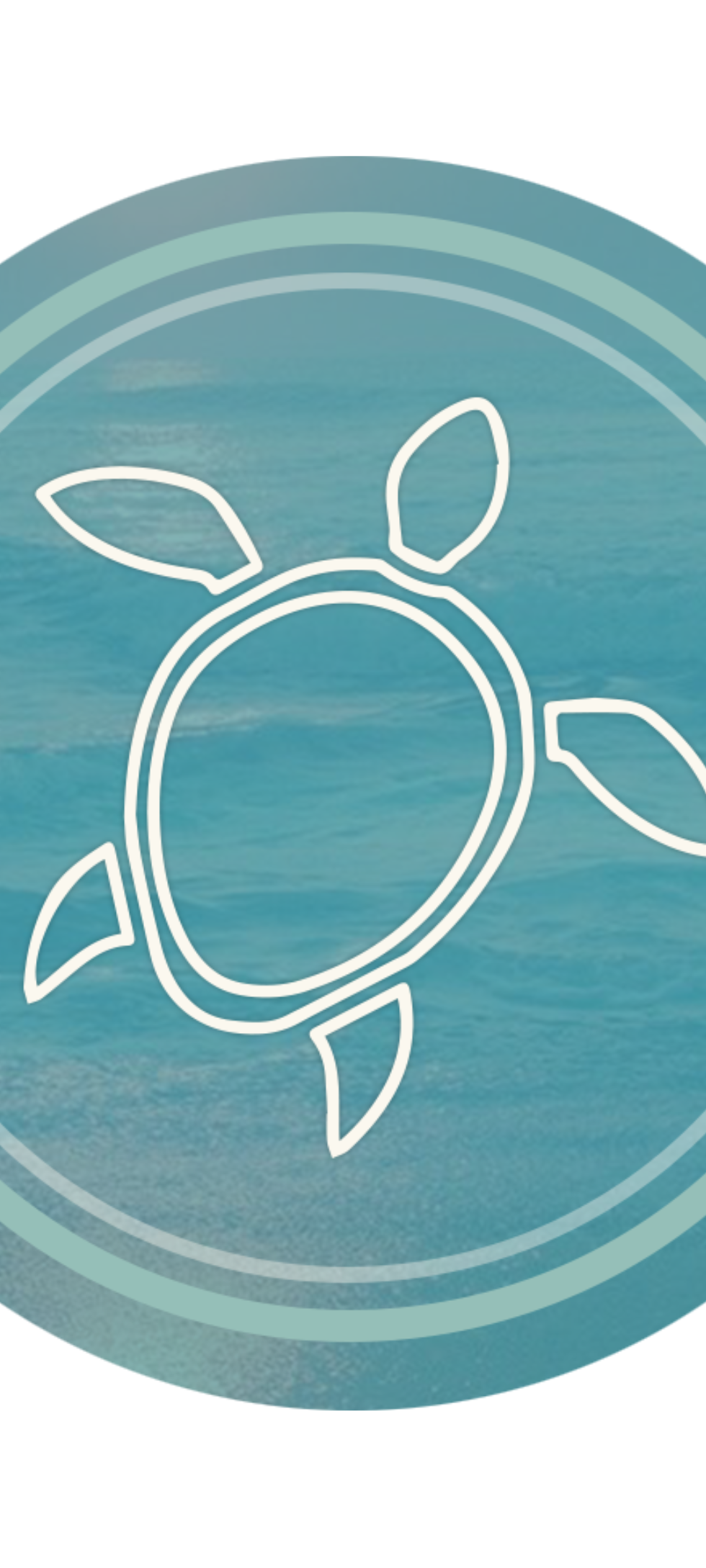 Joyful Turtle Logo.png